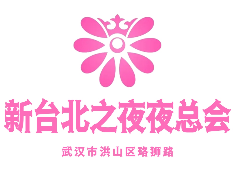武汉台北之夜夜总会